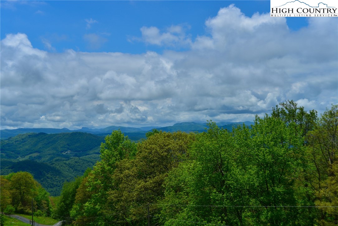Yellow Mountain Road Newland, NC 28657 - Photo 5 of 13 Gallery Image 5