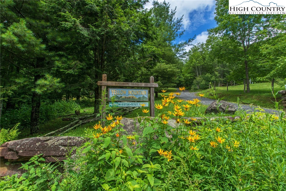 Yellow Mountain Road Newland, NC 28657 - Photo 6 of 13 Gallery Image 6