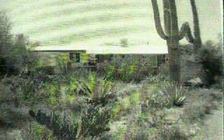6141 North Van Ark Road Tucson, AZ 85743 - Photo 1 of 1 Gallery Image 1