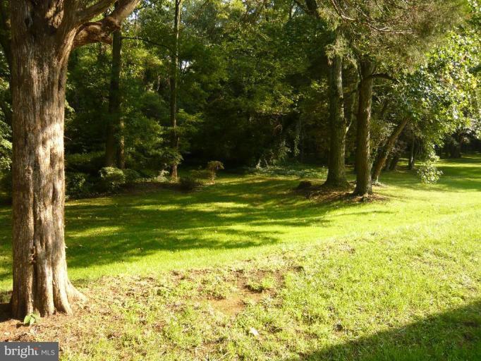 1701 Courtland Road Alexandria, VA 22306 - Photo 20 of 23 Garden #2