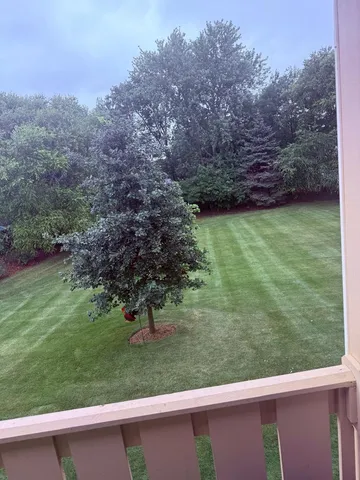 a view of a yard with a tree in the background