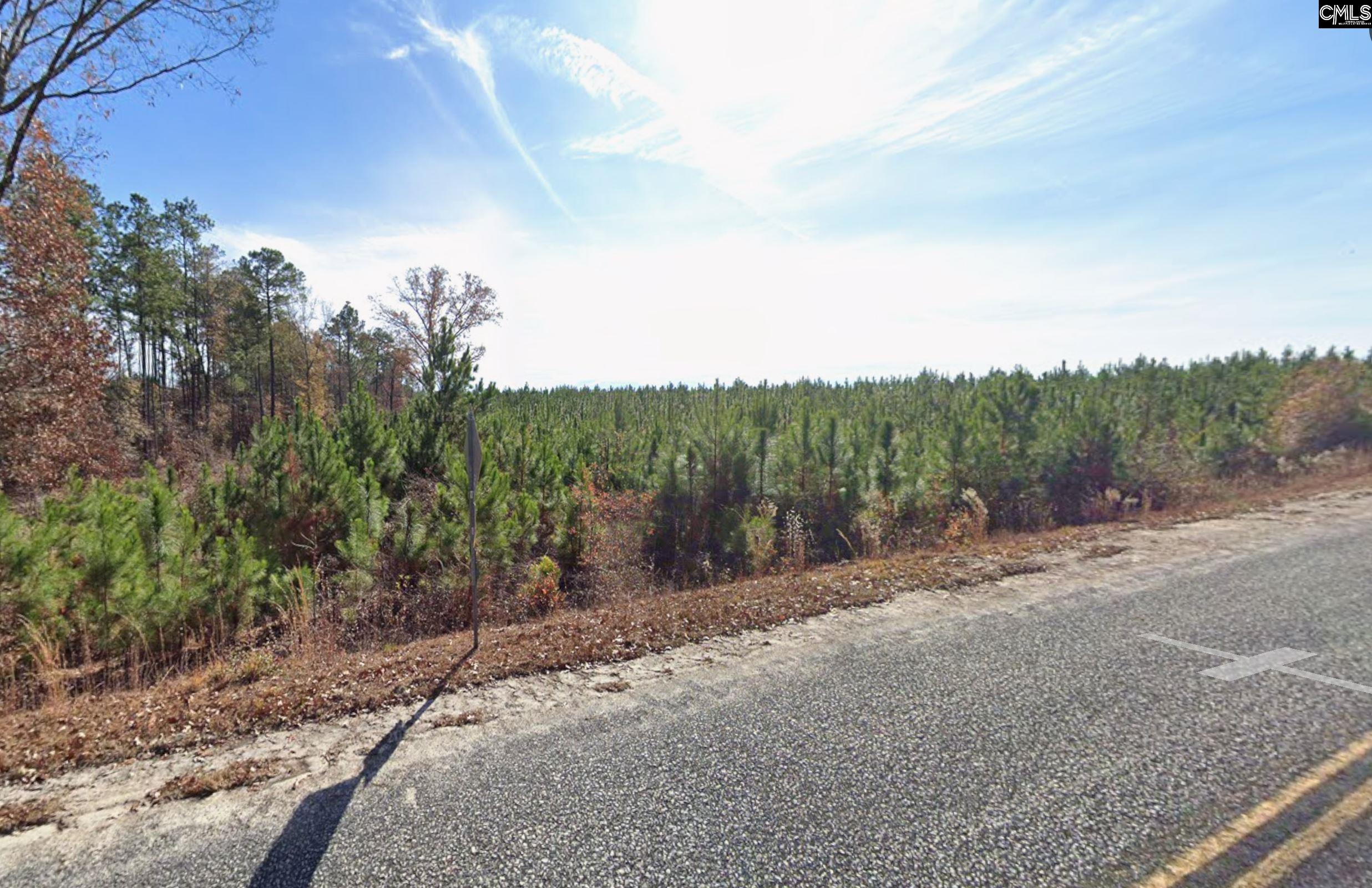 242 Wheeler Road Camden, SC 29020 - Photo 1 of 1