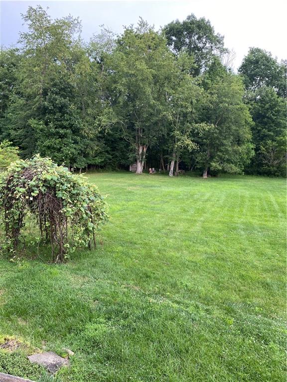 122 Hoy Street Rices Landing, PA 15357 - Photo 41 of 41