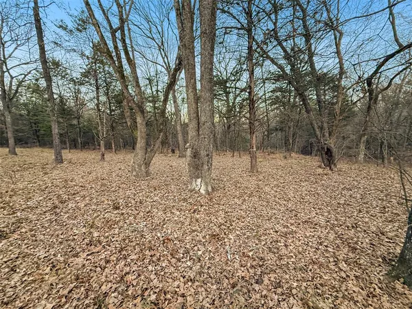a view of empty room with tree s
