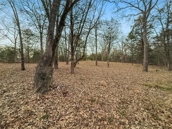 a view of a field with trees in the background