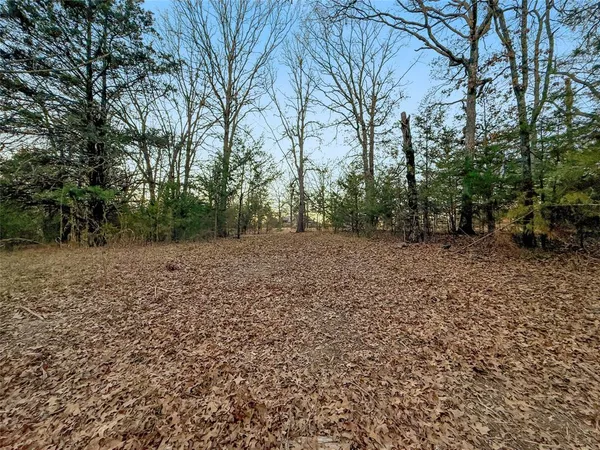 a view of a yard with trees