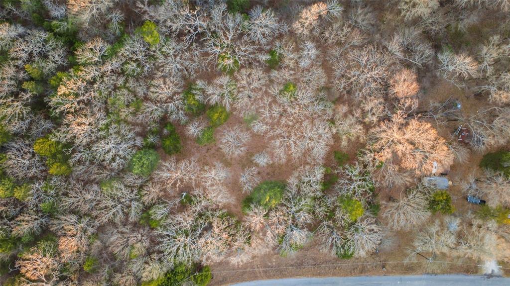 290 Rs County Road 4254 Point, TX 75472 - Photo 22 of 25 a close up of a tree