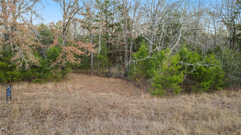 290 Rs County Road 4254 Point, TX 75472 - Photo 3 of 25 a view of a forest with lots of trees