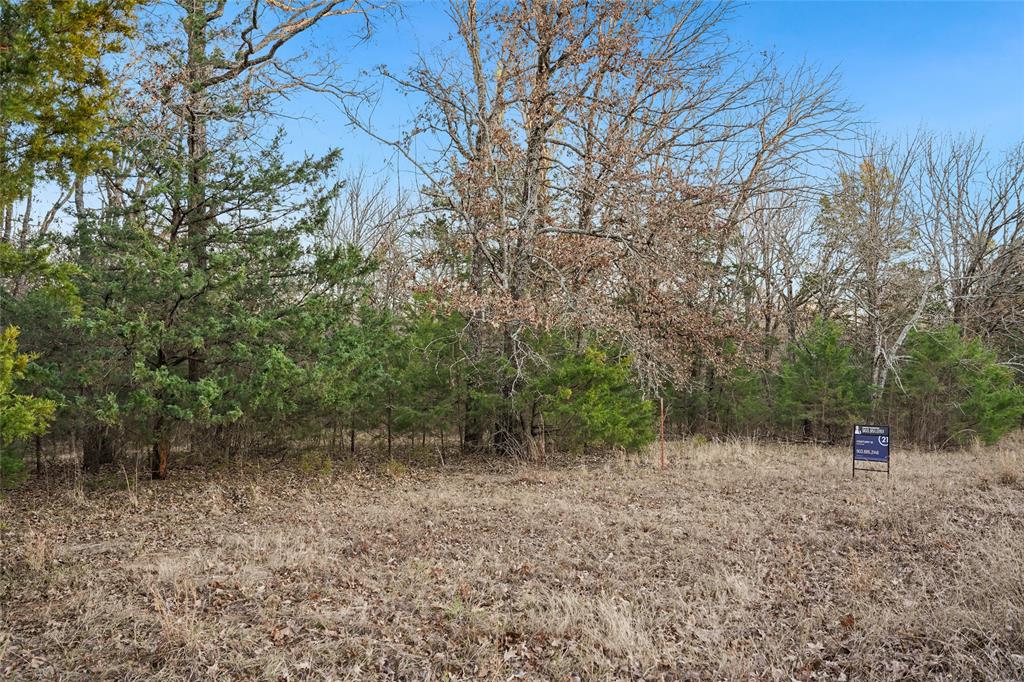 290 Rs County Road 4254 Point, TX 75472 - Photo 4 of 25 a view of outdoor space and tree
