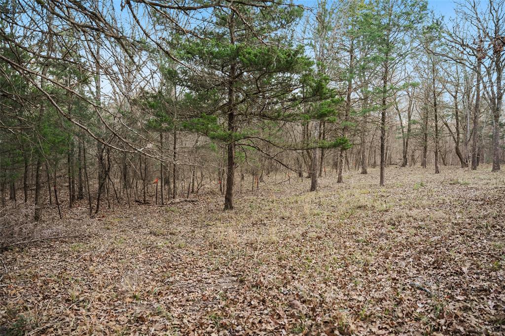 290 Rs County Road 4254 Point, TX 75472 - Photo 10 of 25