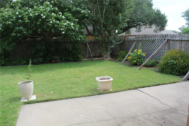 a view of a garden with a slide