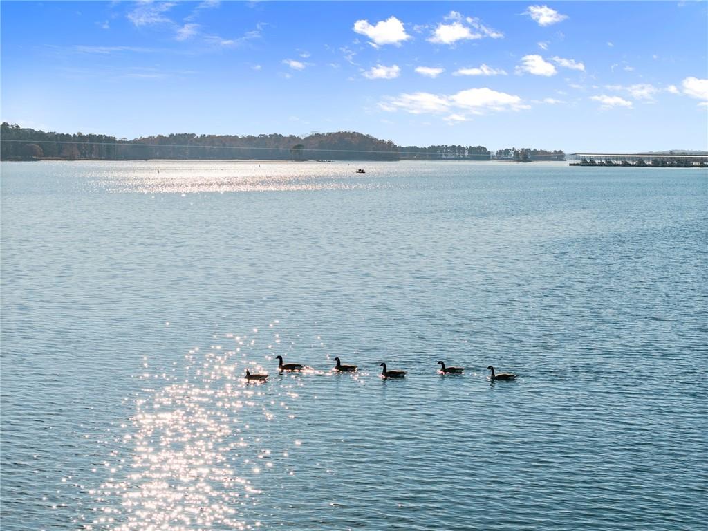 5431 Mayflower Court Gainesville, GA 30504 - Photo 59 of 64