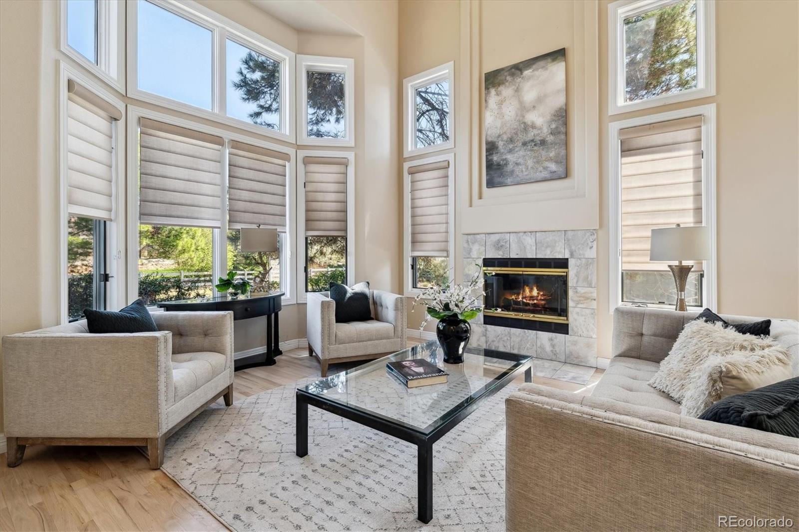 72 Falcon Hills Drive Highlands Ranch, CO 80126 - Photo 7 of 49 a living room with furniture and a fireplace
