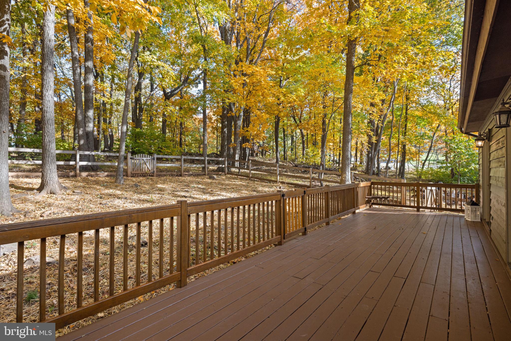 381 Club House Road Front Royal, VA 22630 - Photo 36 of 43 Huge Back Deck