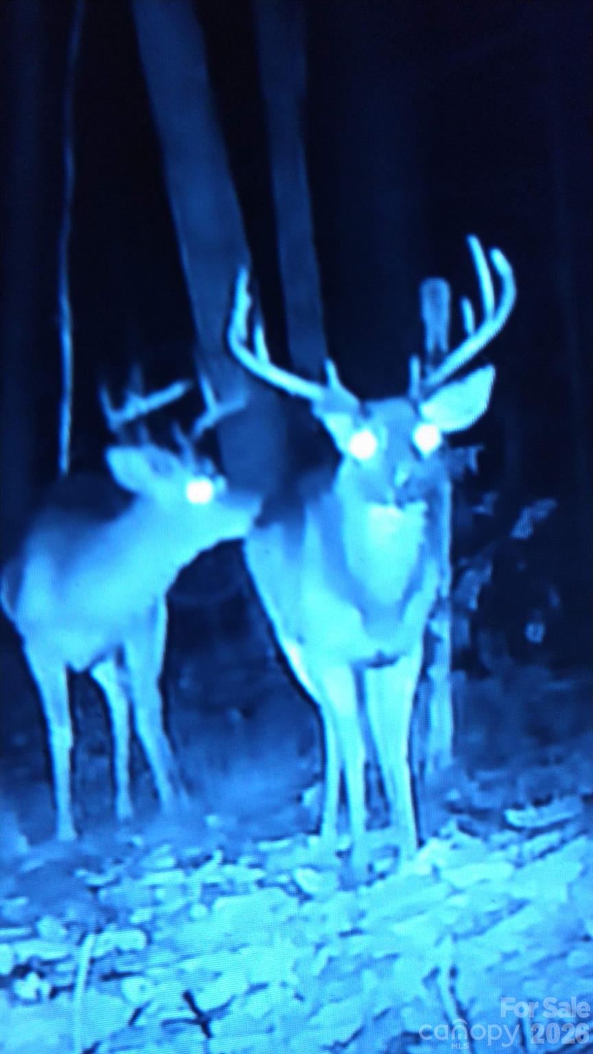 417 Stoney Point Road Kings Mountain, NC 28086 - Photo 16 of 17