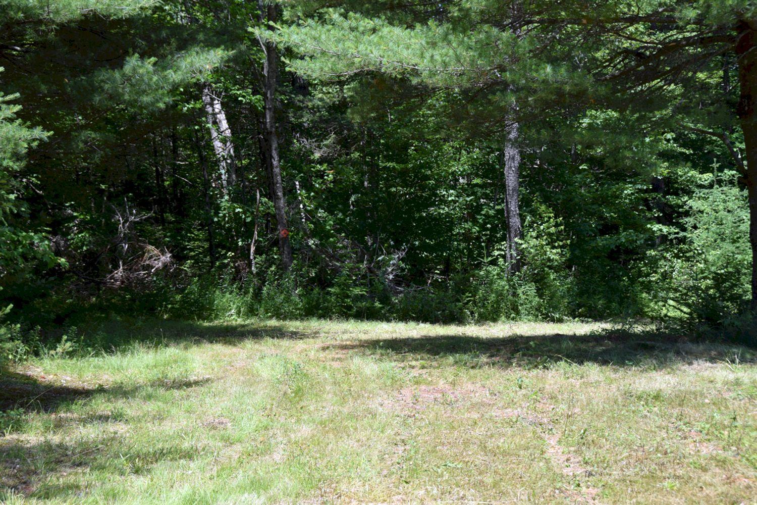 329 Dunbar Hill Road Embden, ME 04958 - Photo 29 of 42 DSC_0028