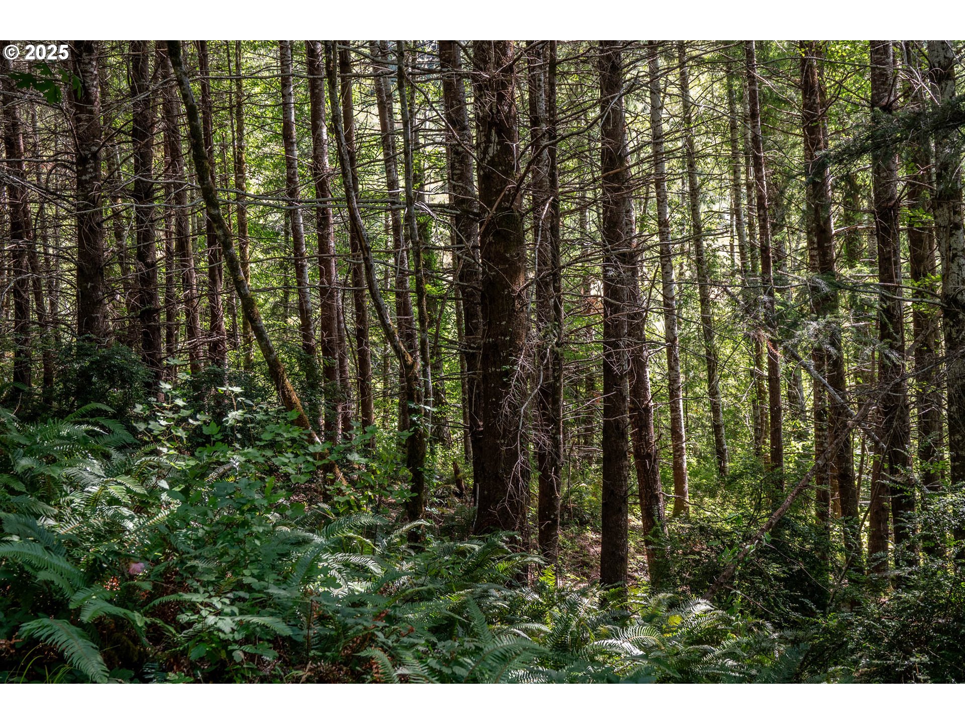 92433 Ward Creek Lane Myrtle Point, OR 97458 - Photo 30 of 38 a view of outdoor space and deck