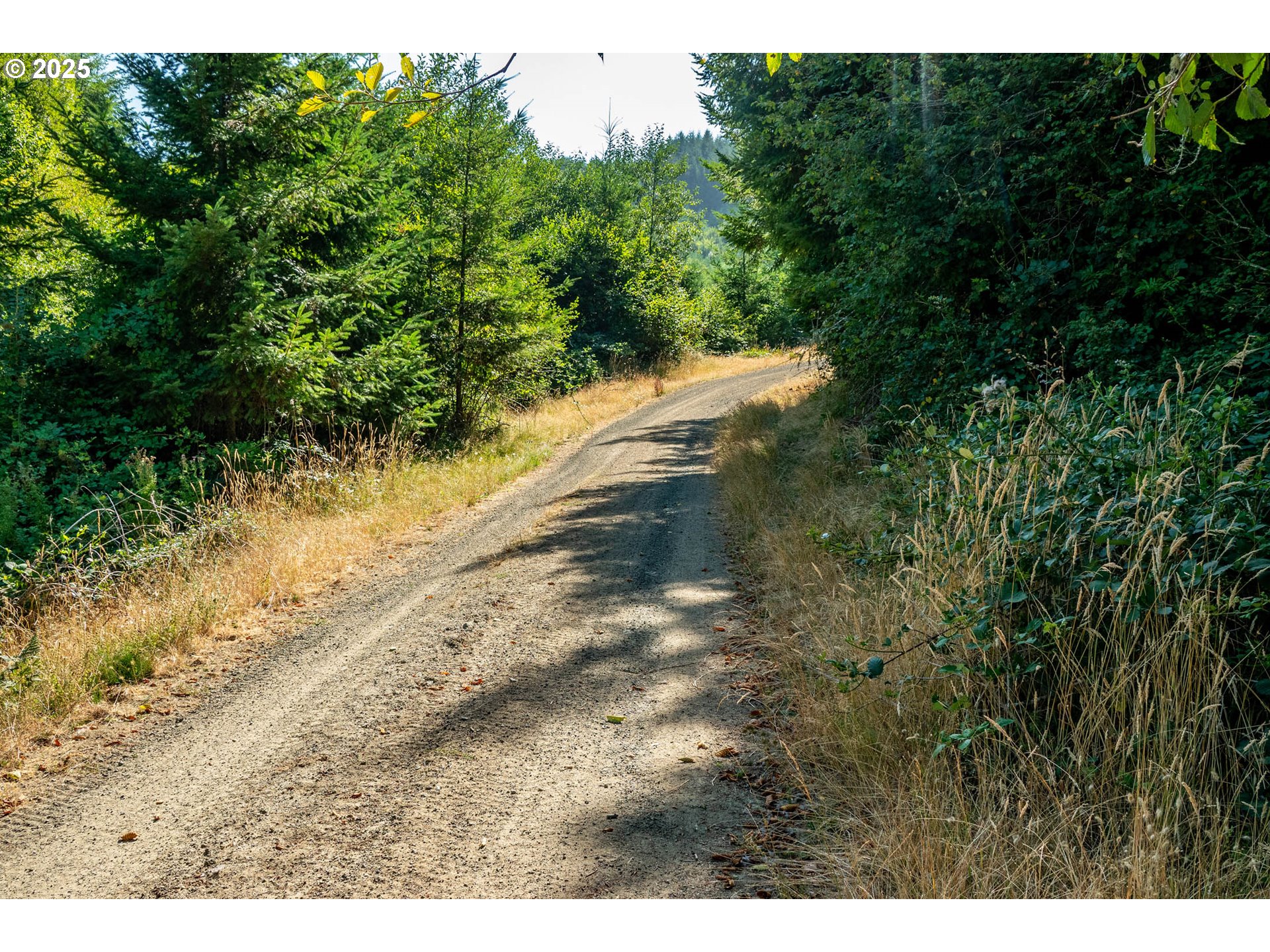 92433 Ward Creek Lane Myrtle Point, OR 97458 - Photo 35 of 38 a view of a dirt road with trees in the background