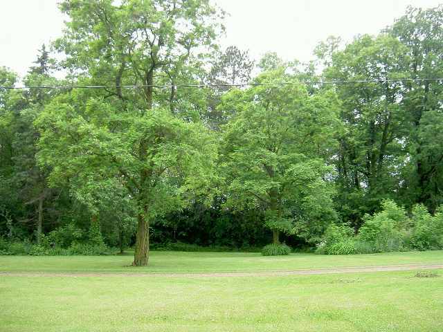 38311 Rutabaga Road Askov, MN 55704 - Photo 6 of 7 Gallery Image 6