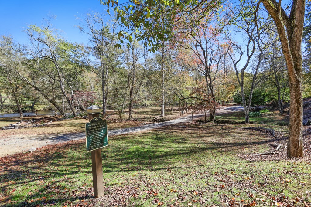 0 River Ridge Drive Blue Ridge, GA 30513 - Photo 10 of 24 a view of a yard with trees