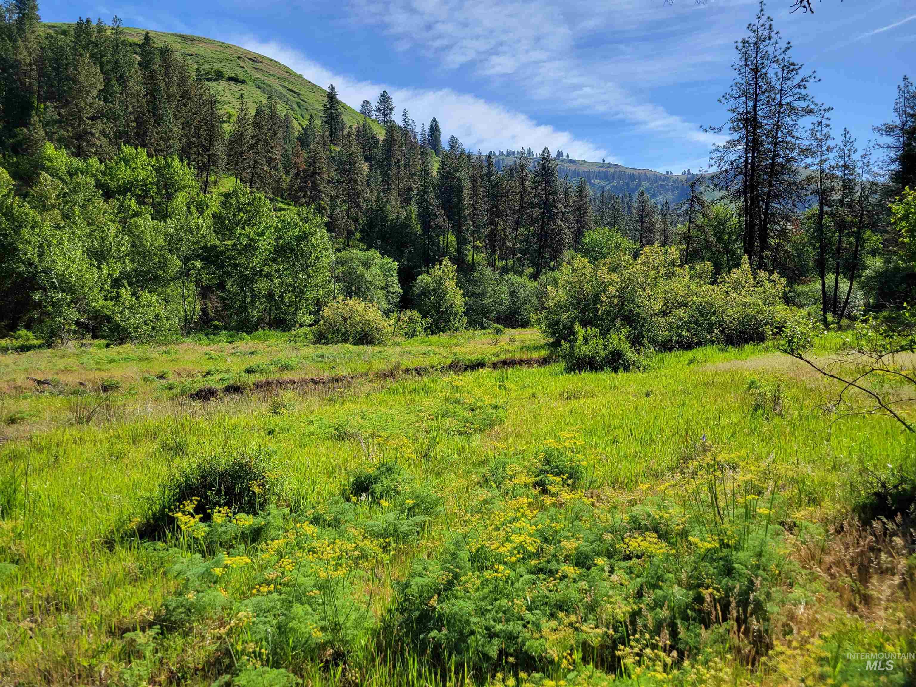 Tbd Twisted Tree Lane Craigmont, ID 83523 - Photo 11 of 49