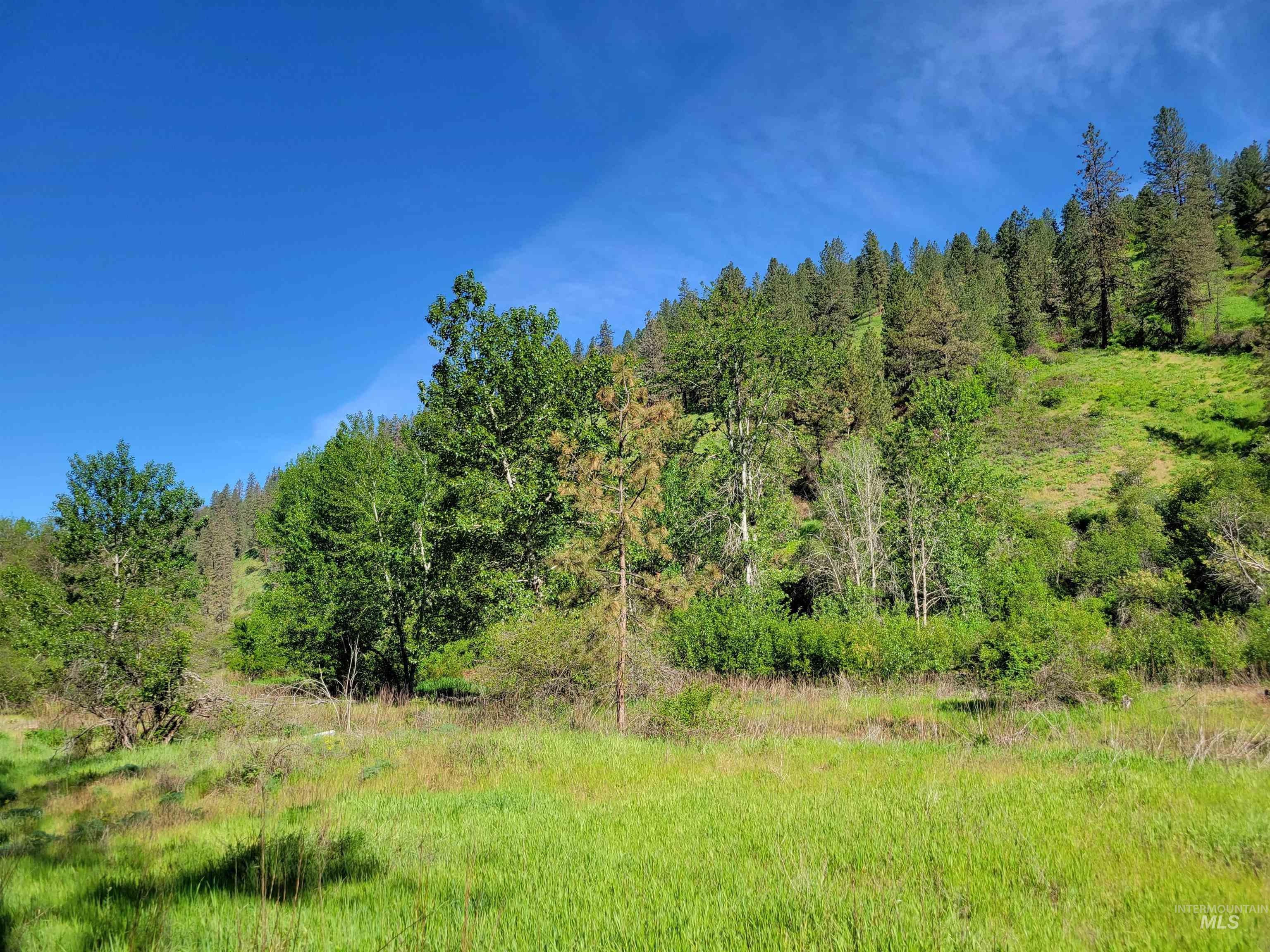 Tbd Twisted Tree Lane Craigmont, ID 83523 - Photo 13 of 49