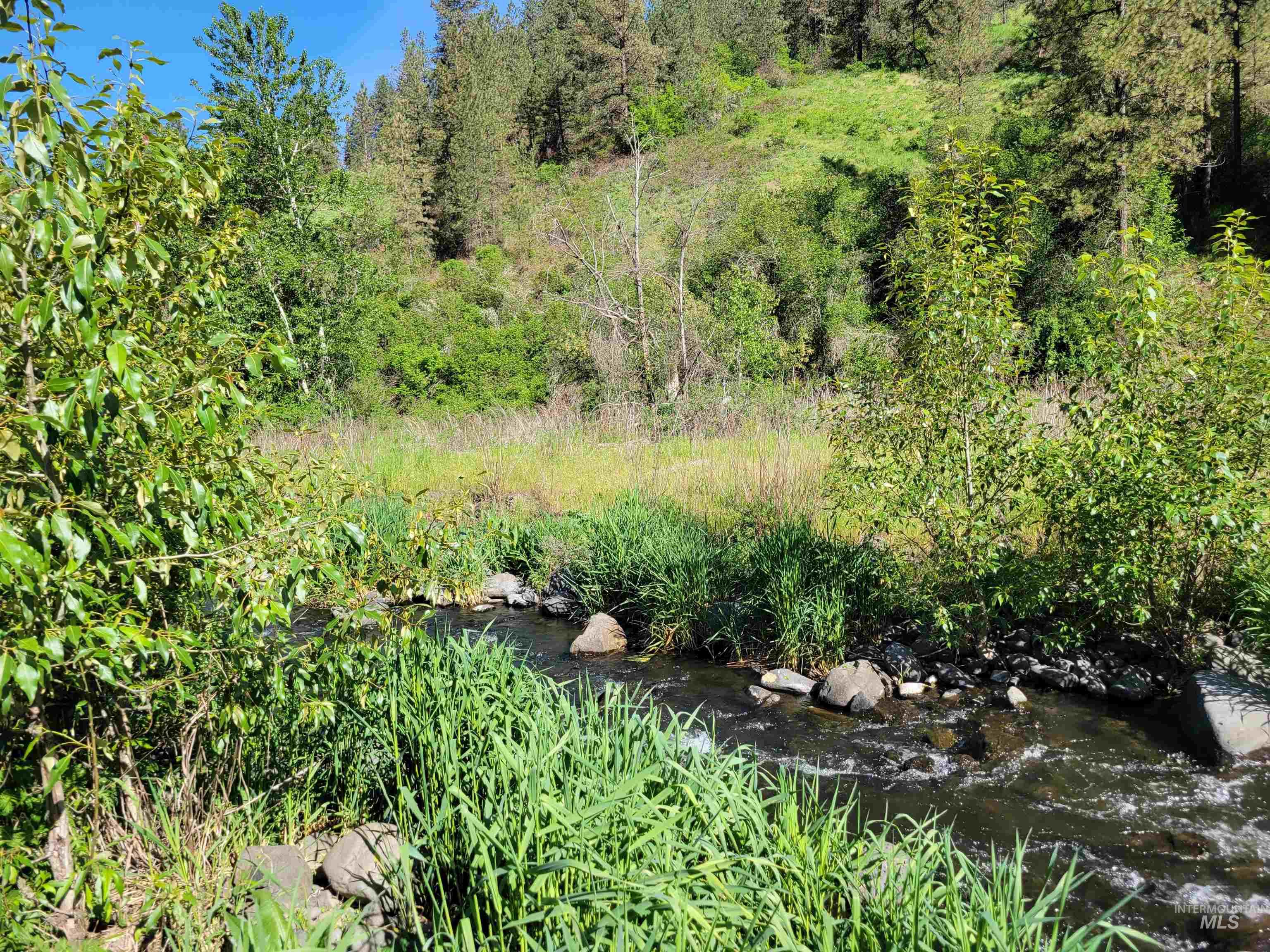 Tbd Twisted Tree Lane Craigmont, ID 83523 - Photo 15 of 49