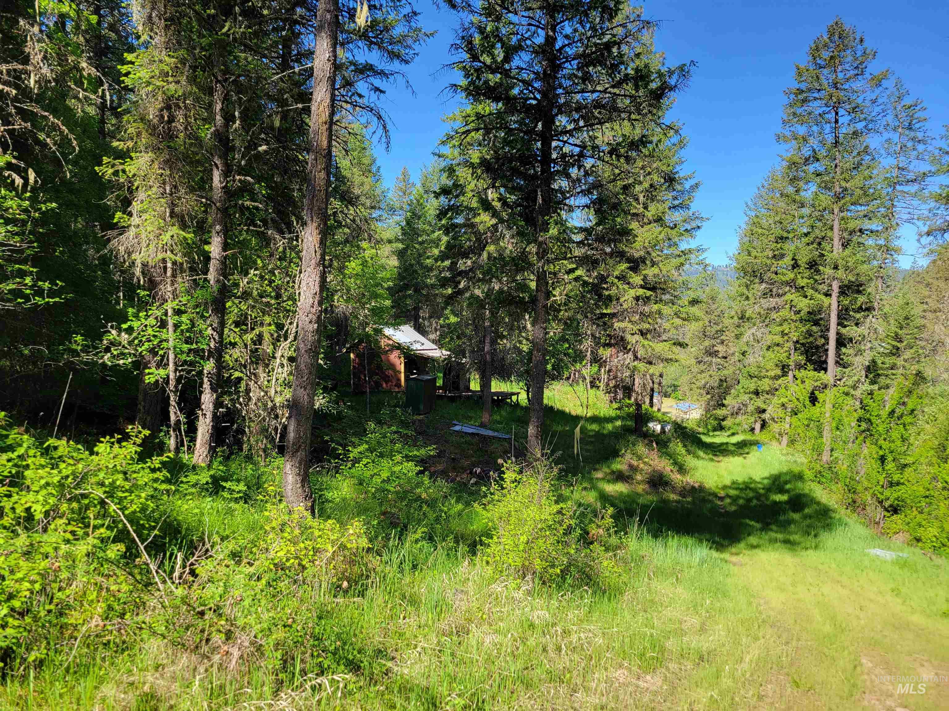Tbd Twisted Tree Lane Craigmont, ID 83523 - Photo 16 of 49