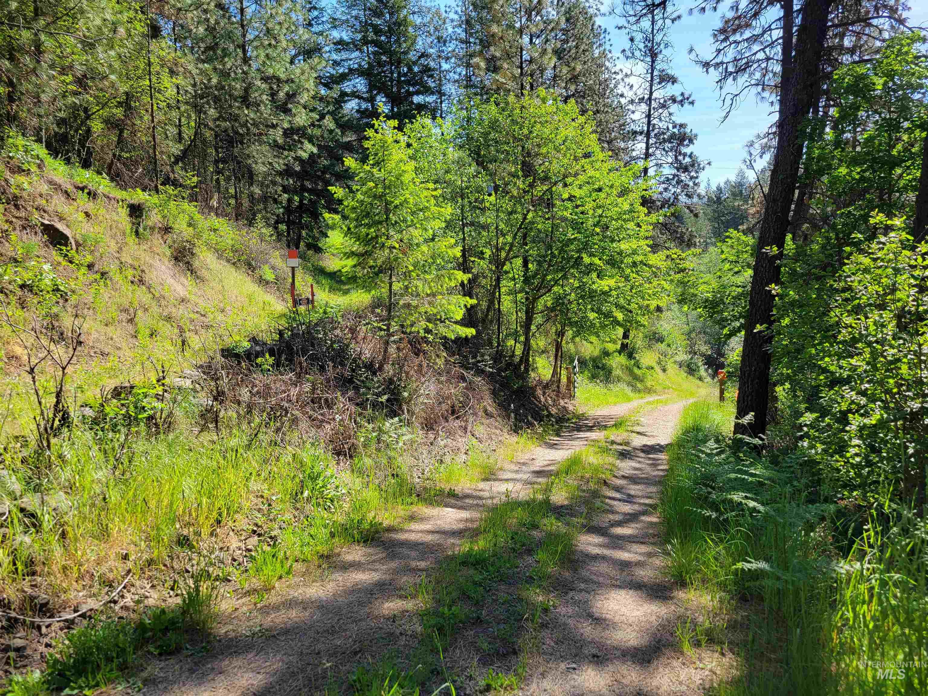 Tbd Twisted Tree Lane Craigmont, ID 83523 - Photo 17 of 49