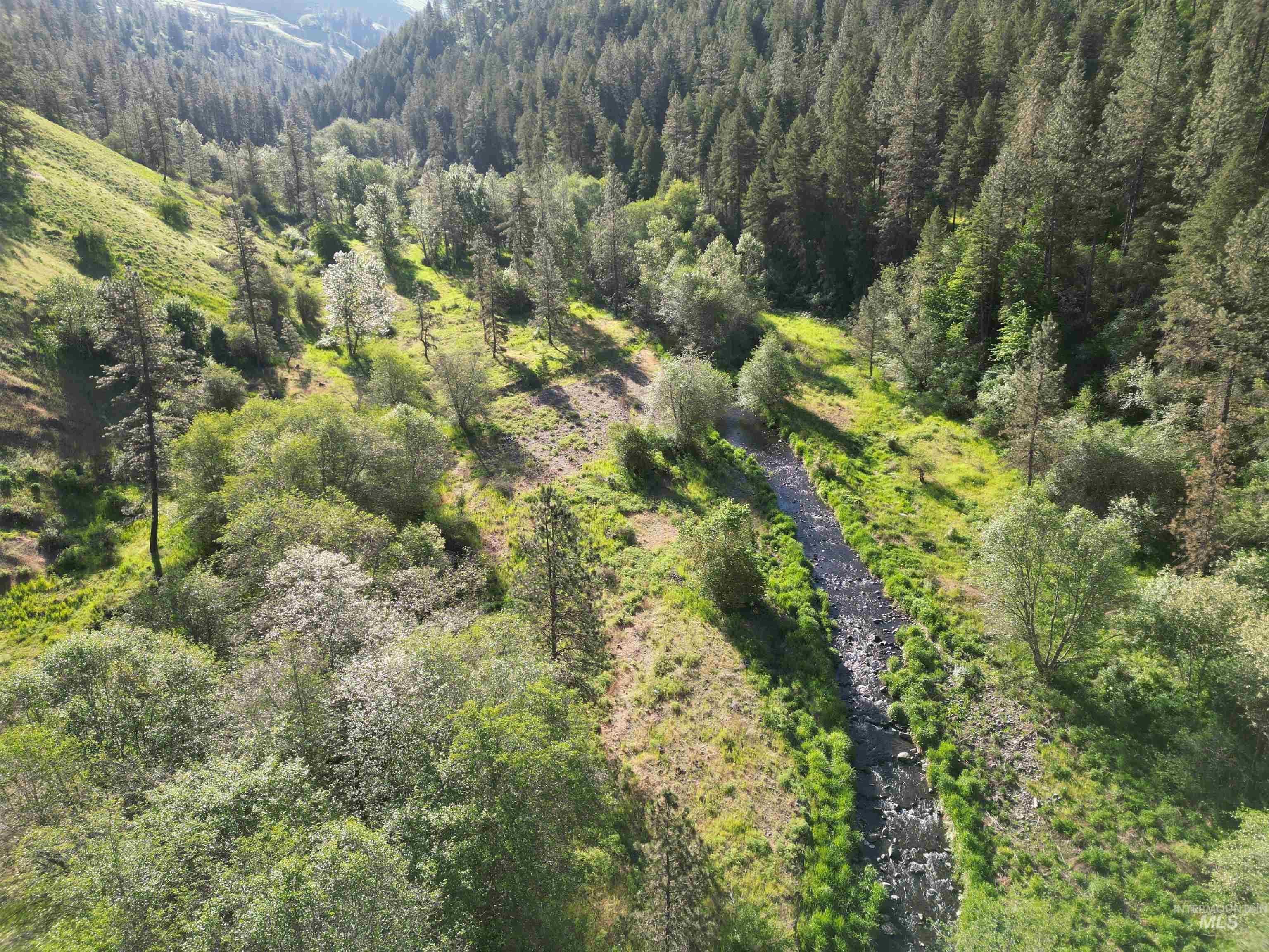 Tbd Twisted Tree Lane Craigmont, ID 83523 - Photo 19 of 49
