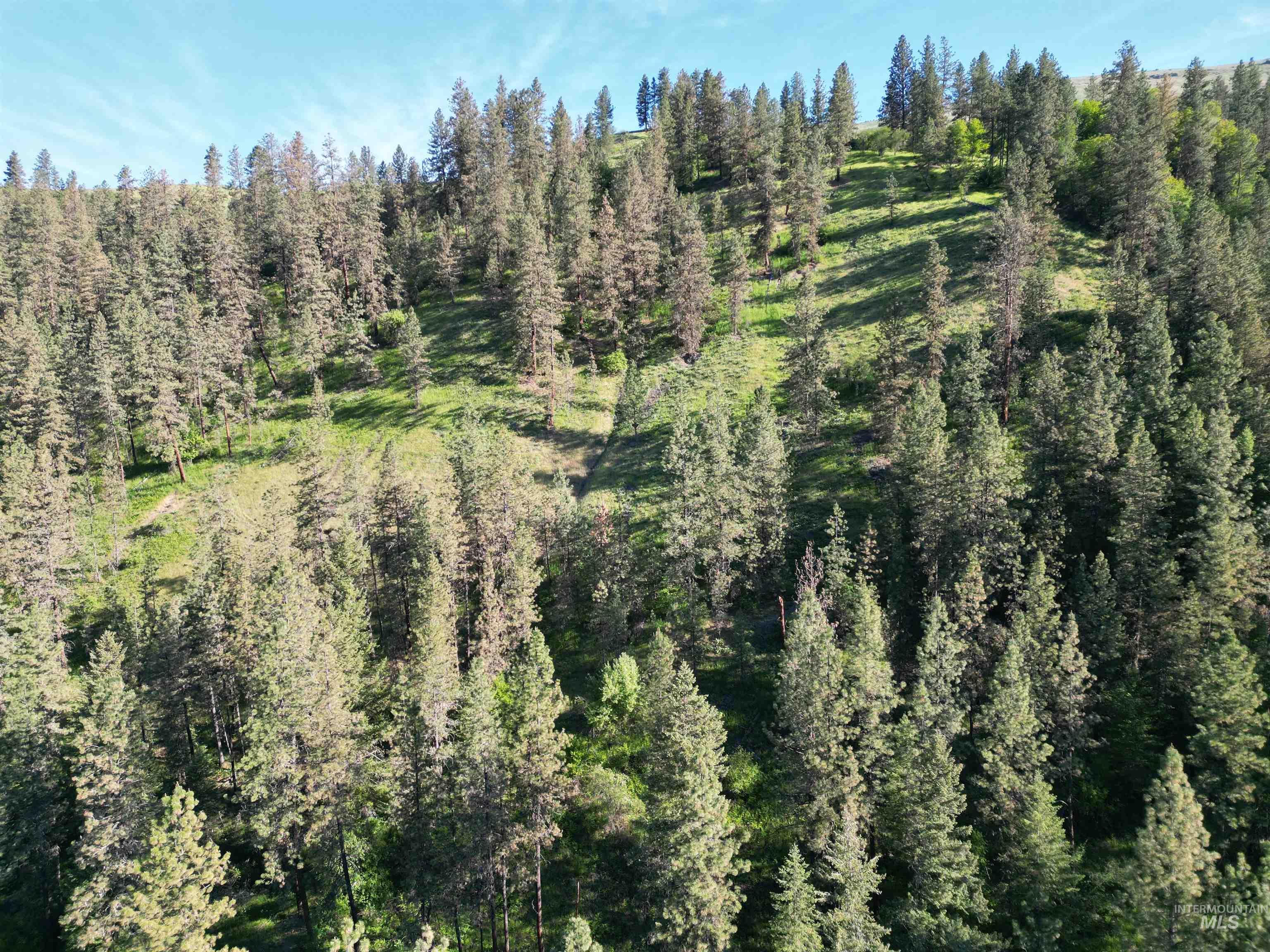 Tbd Twisted Tree Lane Craigmont, ID 83523 - Photo 20 of 49