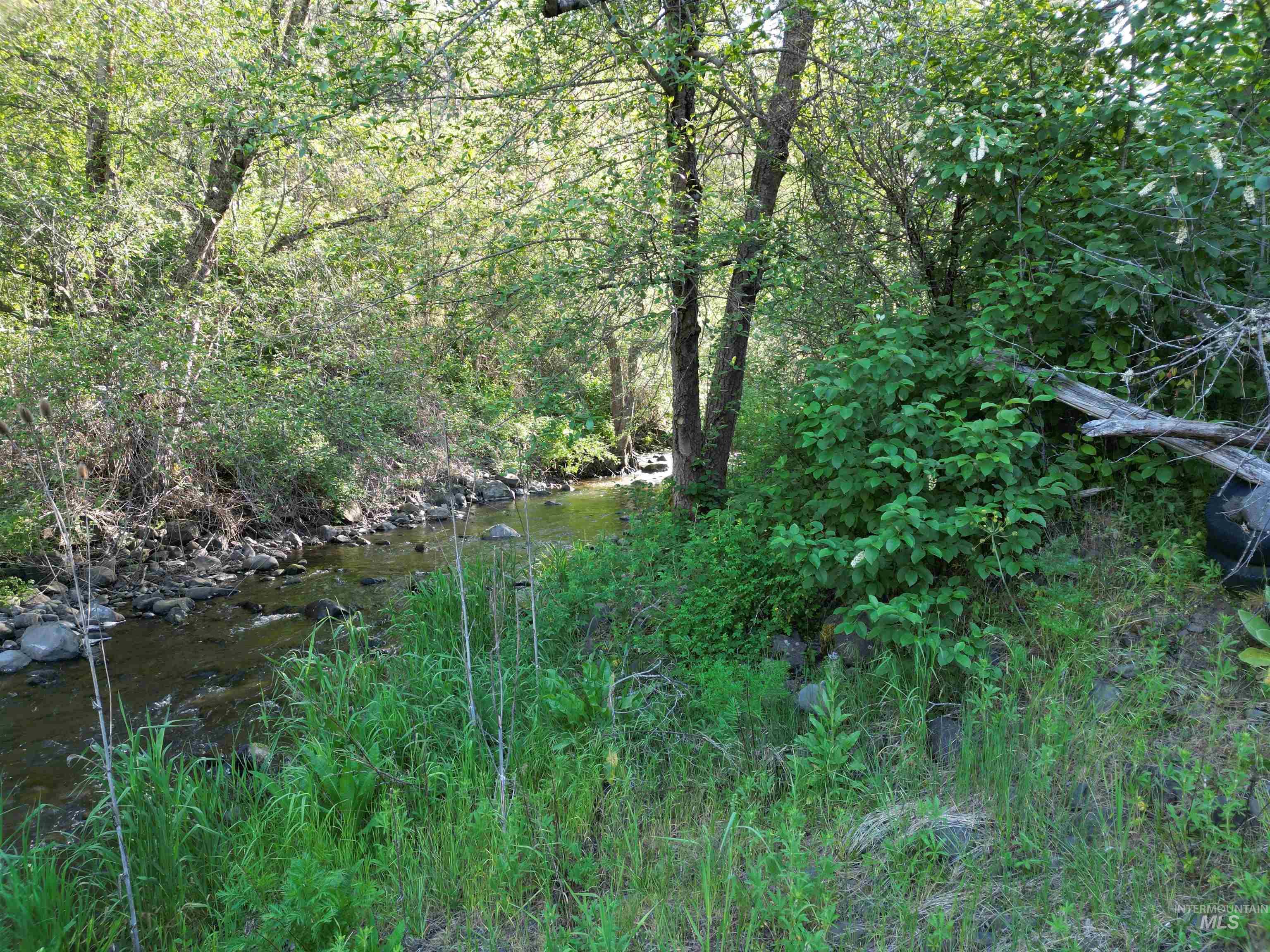 Tbd Twisted Tree Lane Craigmont, ID 83523 - Photo 22 of 49