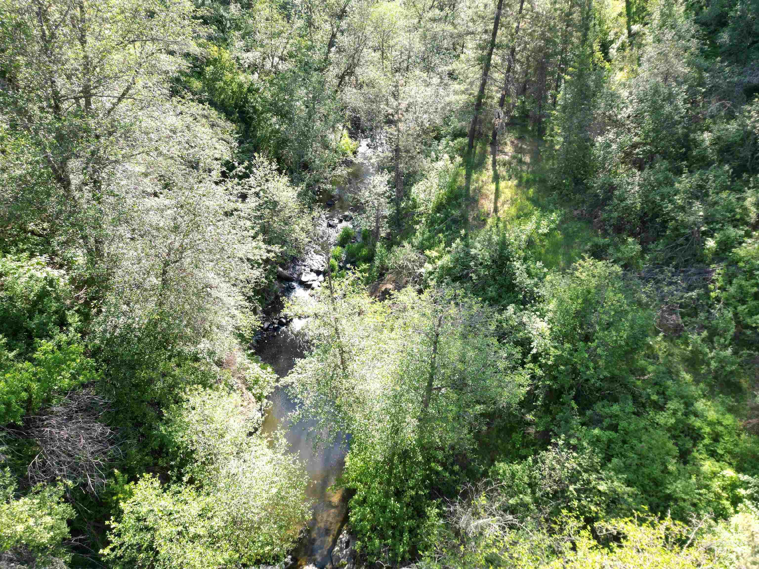 Tbd Twisted Tree Lane Craigmont, ID 83523 - Photo 29 of 49
