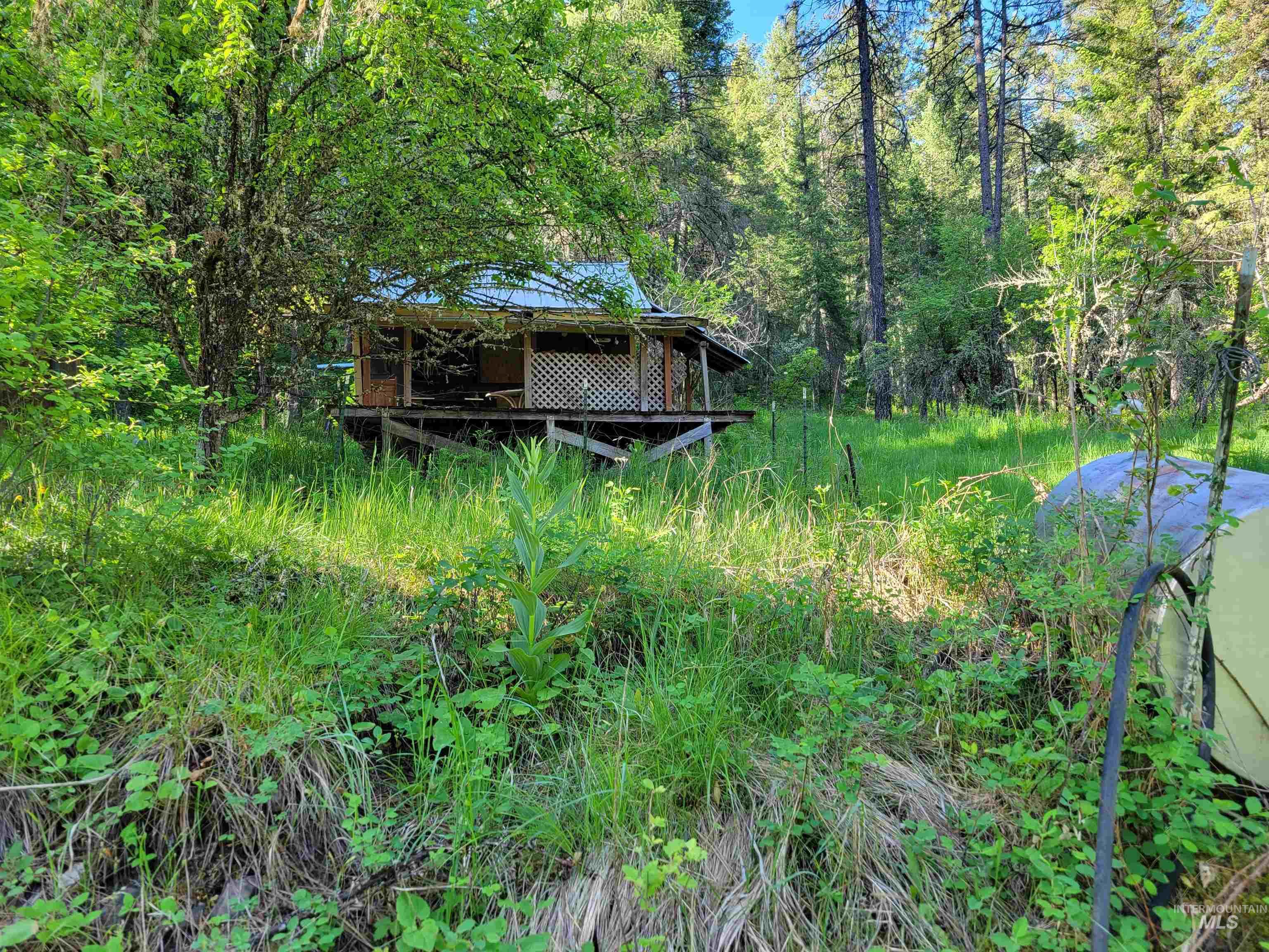 Tbd Twisted Tree Lane Craigmont, ID 83523 - Photo 3 of 49