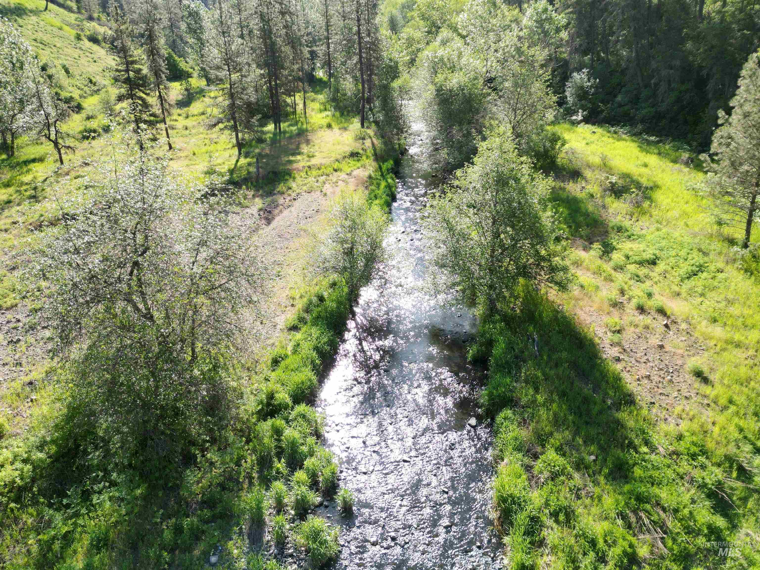 Tbd Twisted Tree Lane Craigmont, ID 83523 - Photo 32 of 49