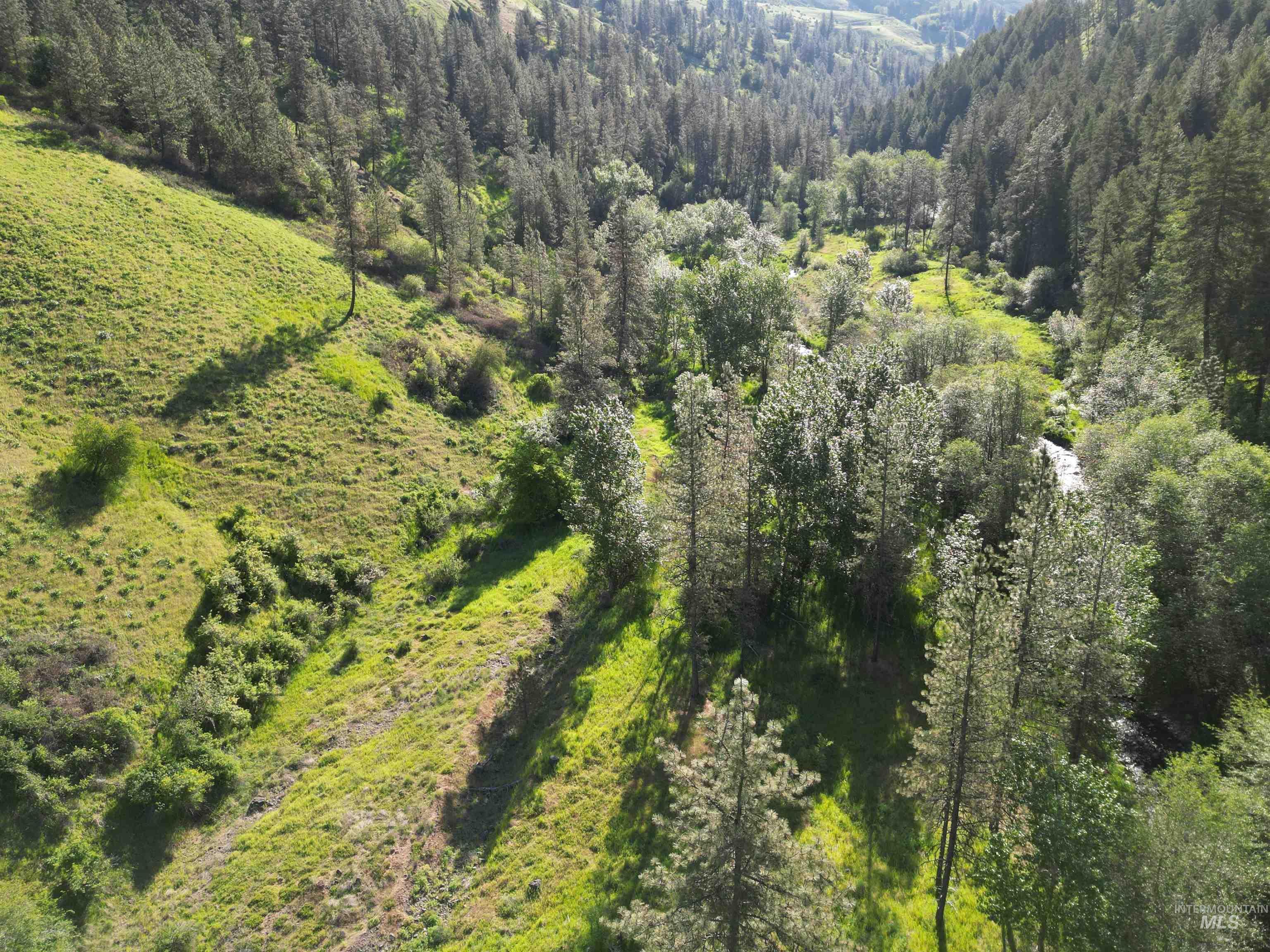 Tbd Twisted Tree Lane Craigmont, ID 83523 - Photo 34 of 49