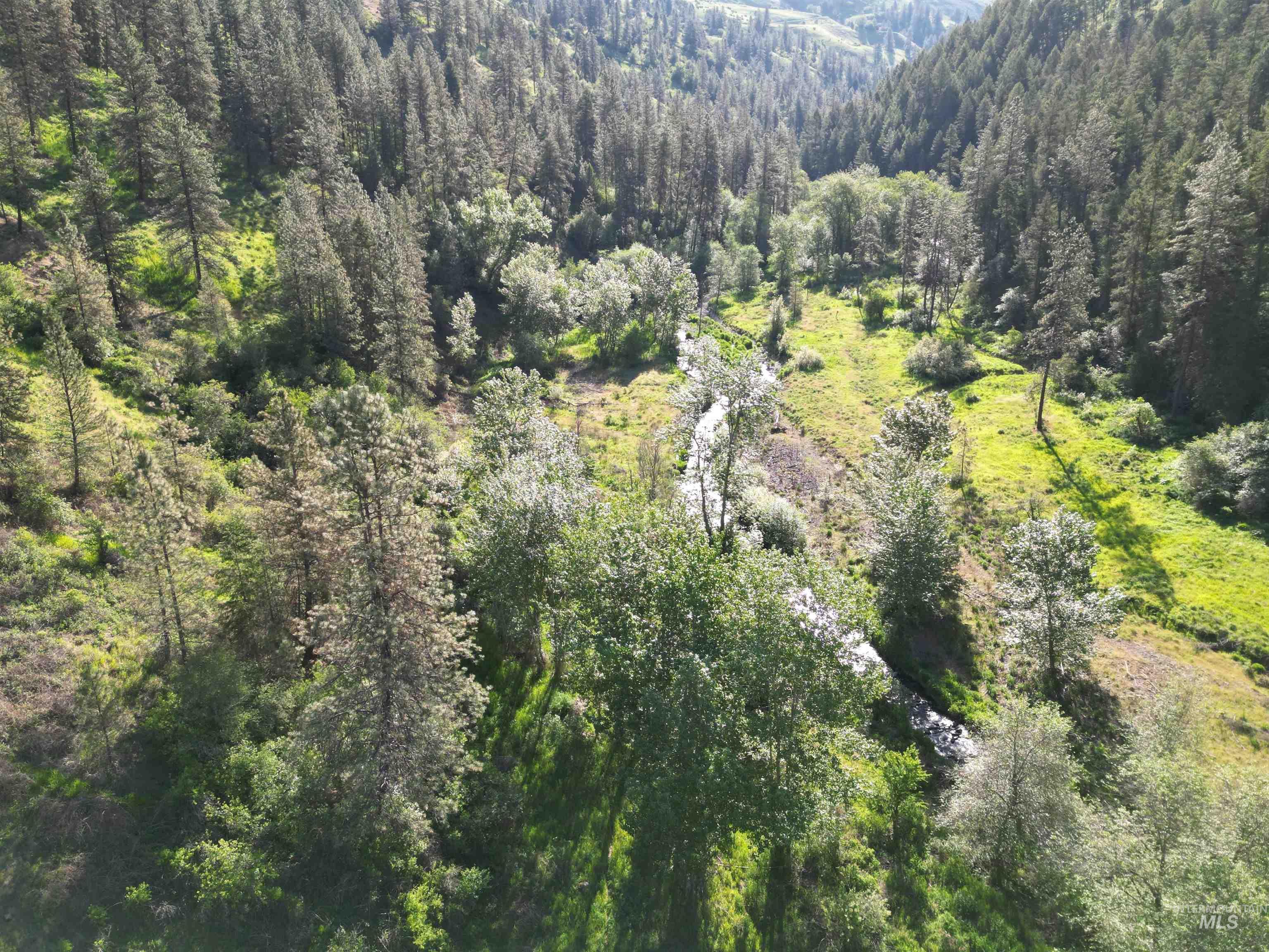 Tbd Twisted Tree Lane Craigmont, ID 83523 - Photo 35 of 49