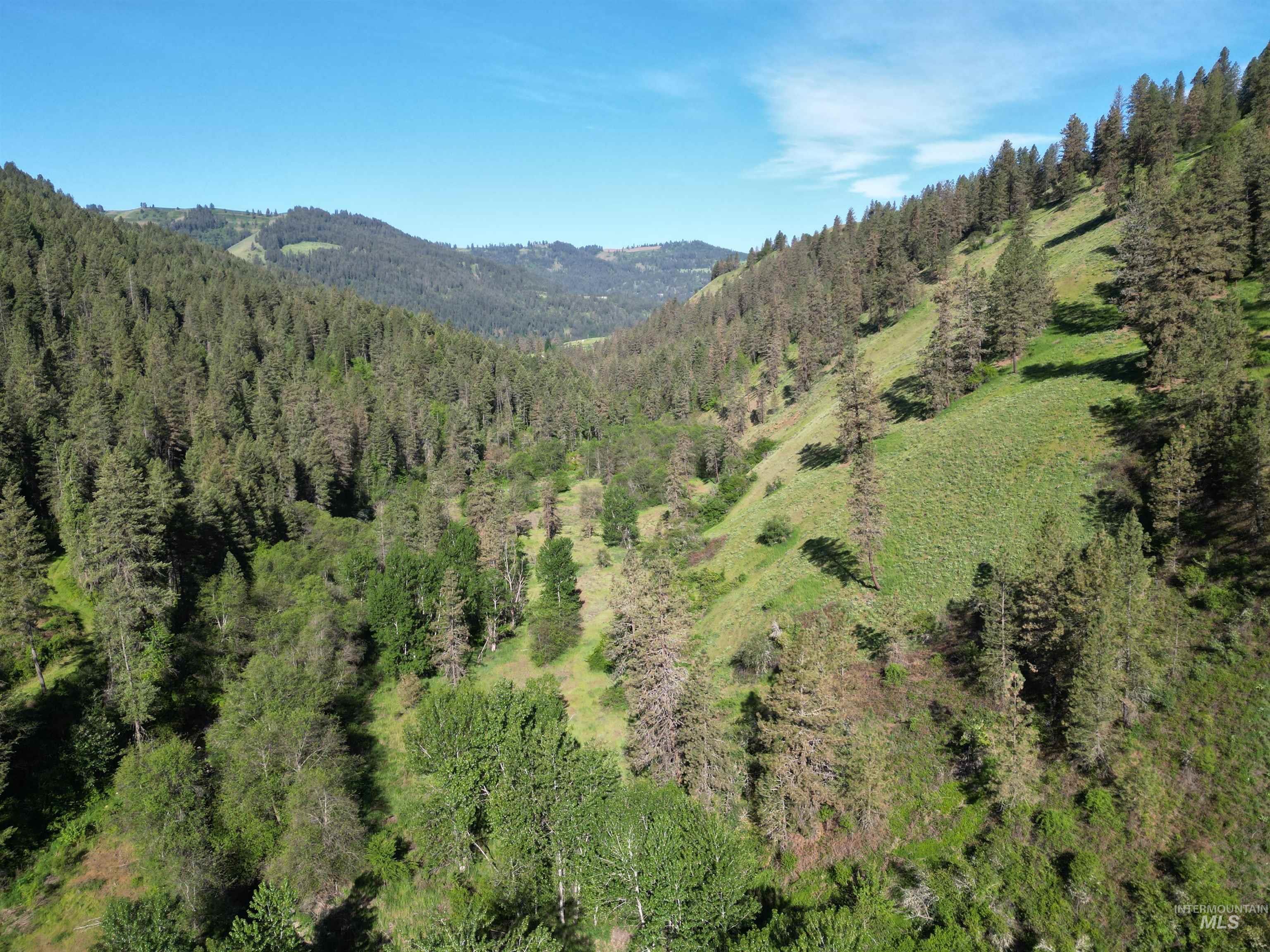 Tbd Twisted Tree Lane Craigmont, ID 83523 - Photo 40 of 49