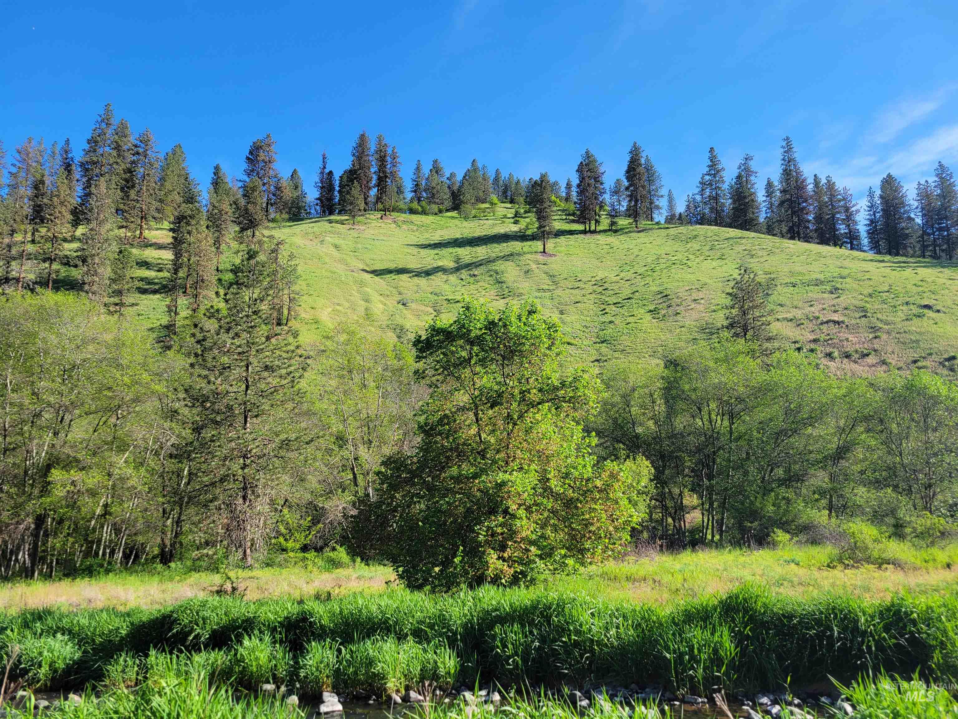 Tbd Twisted Tree Lane Craigmont, ID 83523 - Photo 4 of 49