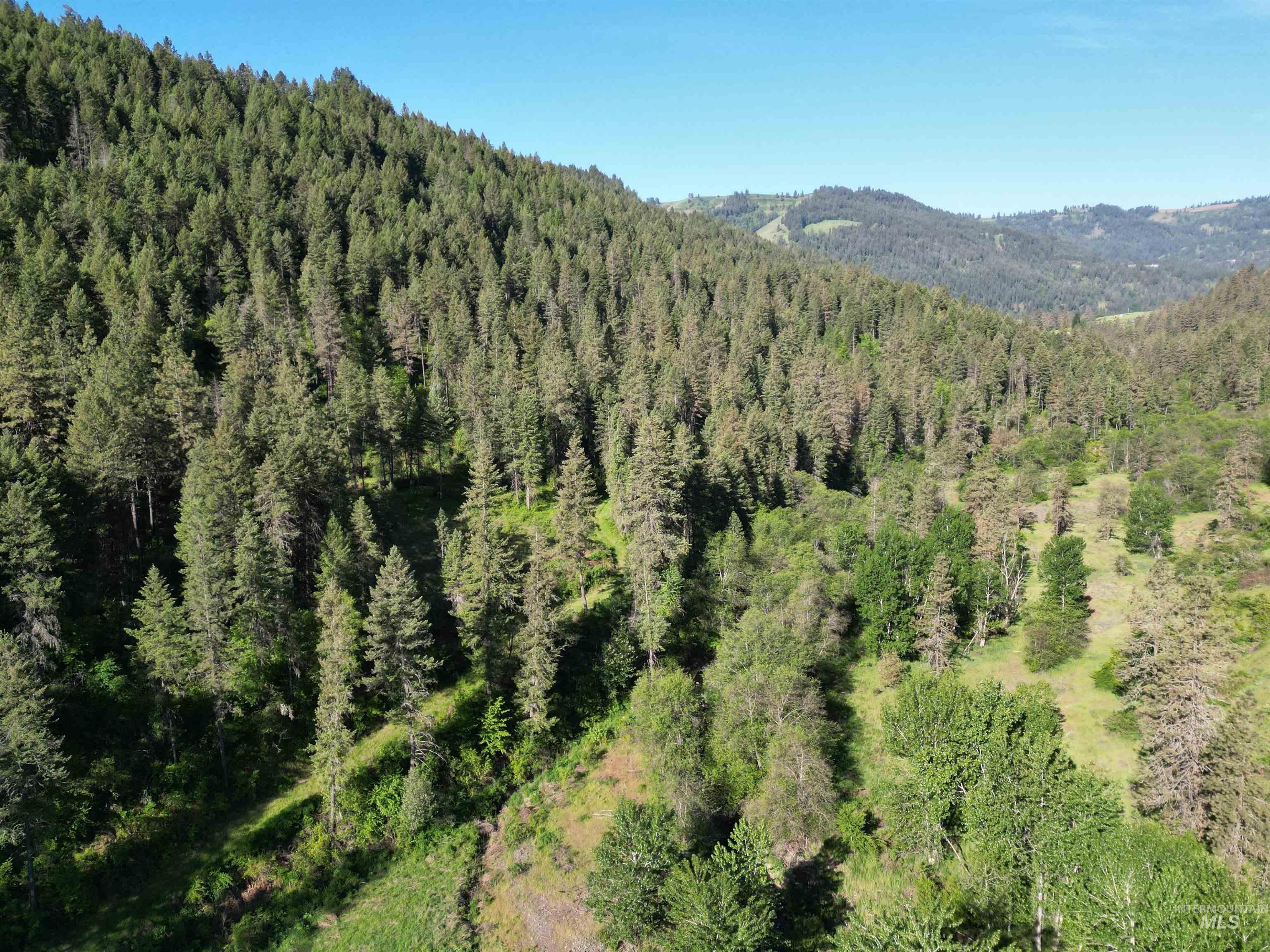 Tbd Twisted Tree Lane Craigmont, ID 83523 - Photo 41 of 49
