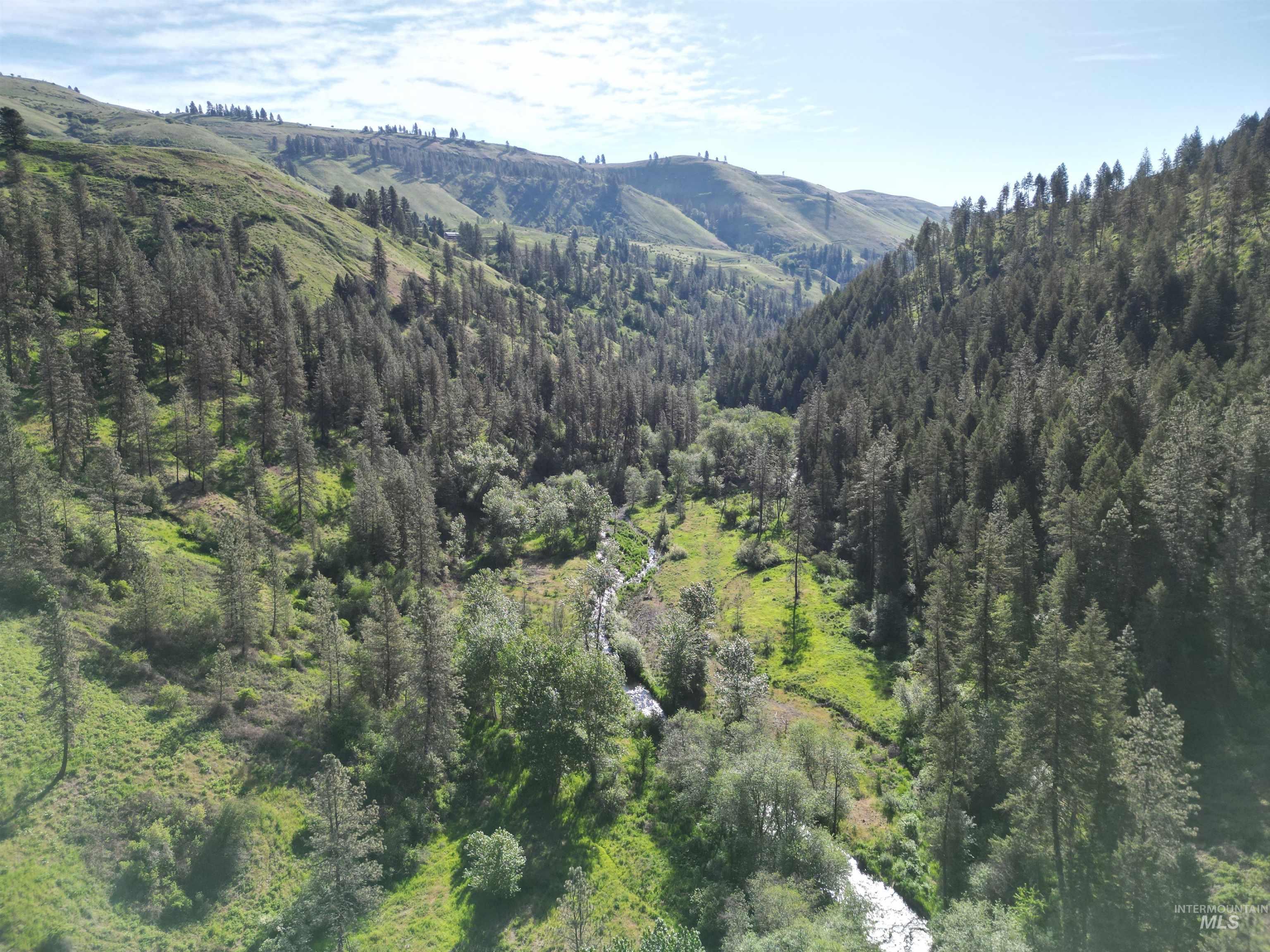 Tbd Twisted Tree Lane Craigmont, ID 83523 - Photo 43 of 49