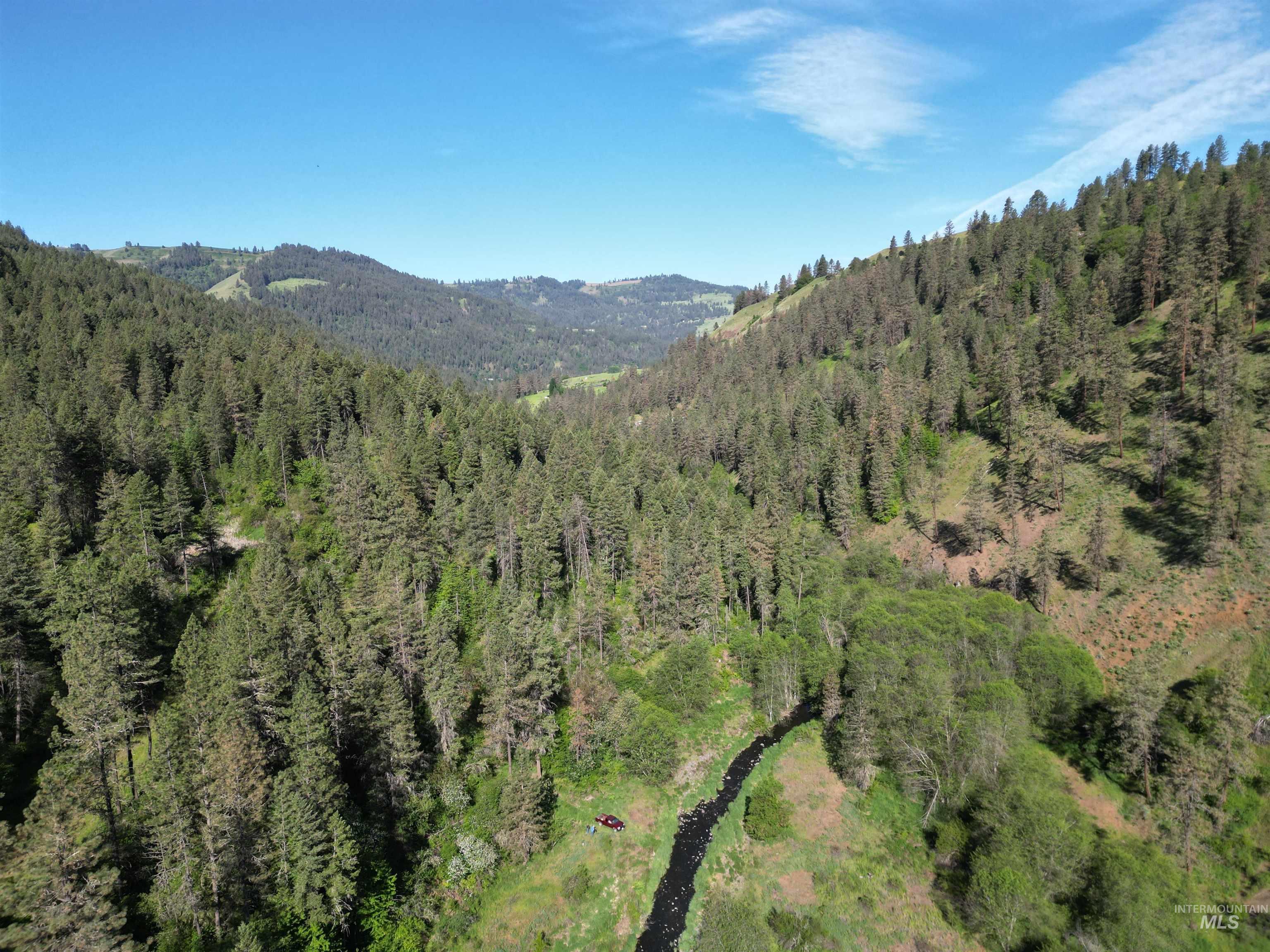 Tbd Twisted Tree Lane Craigmont, ID 83523 - Photo 46 of 49