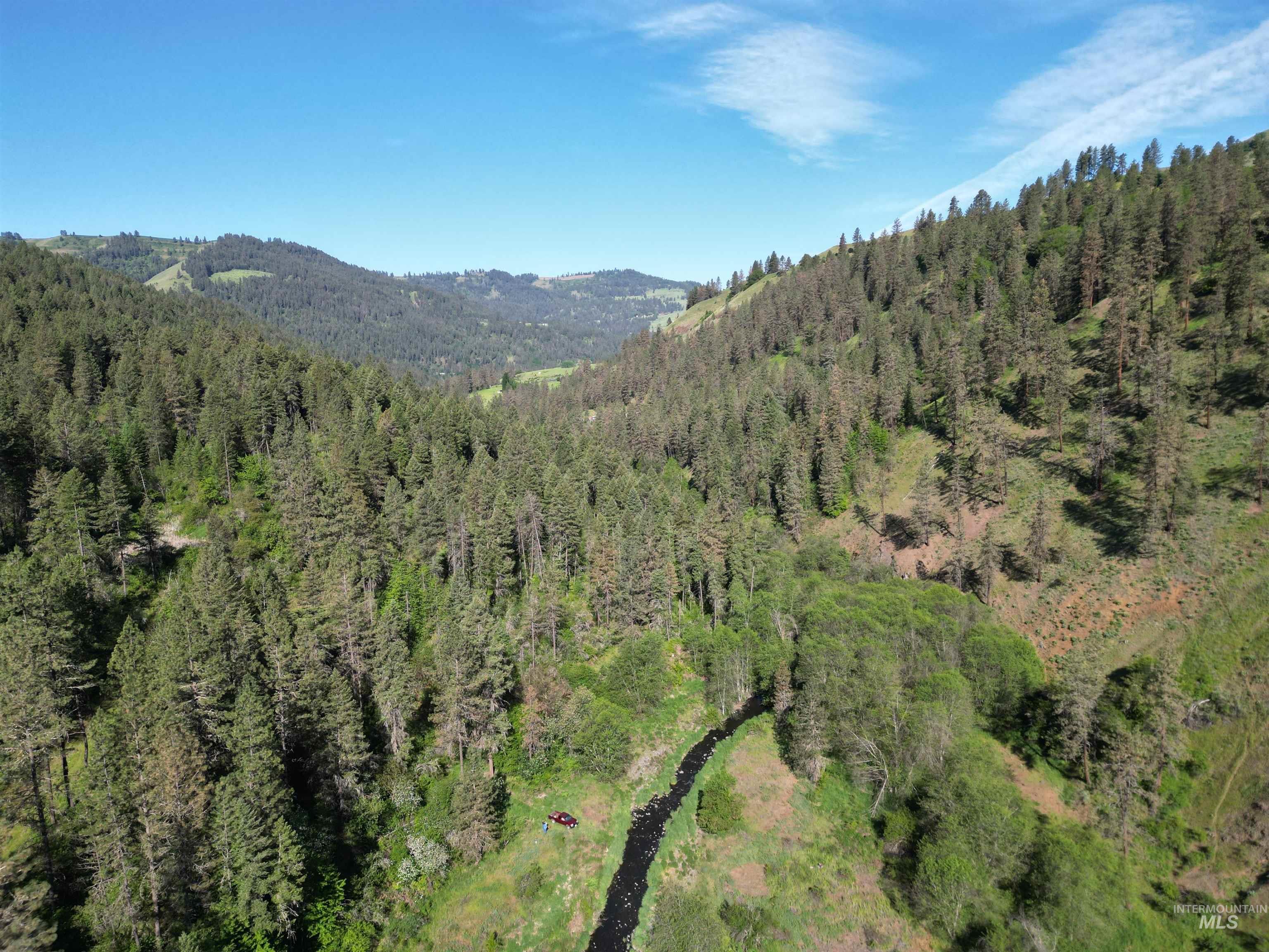 Tbd Twisted Tree Lane Craigmont, ID 83523 - Photo 47 of 49