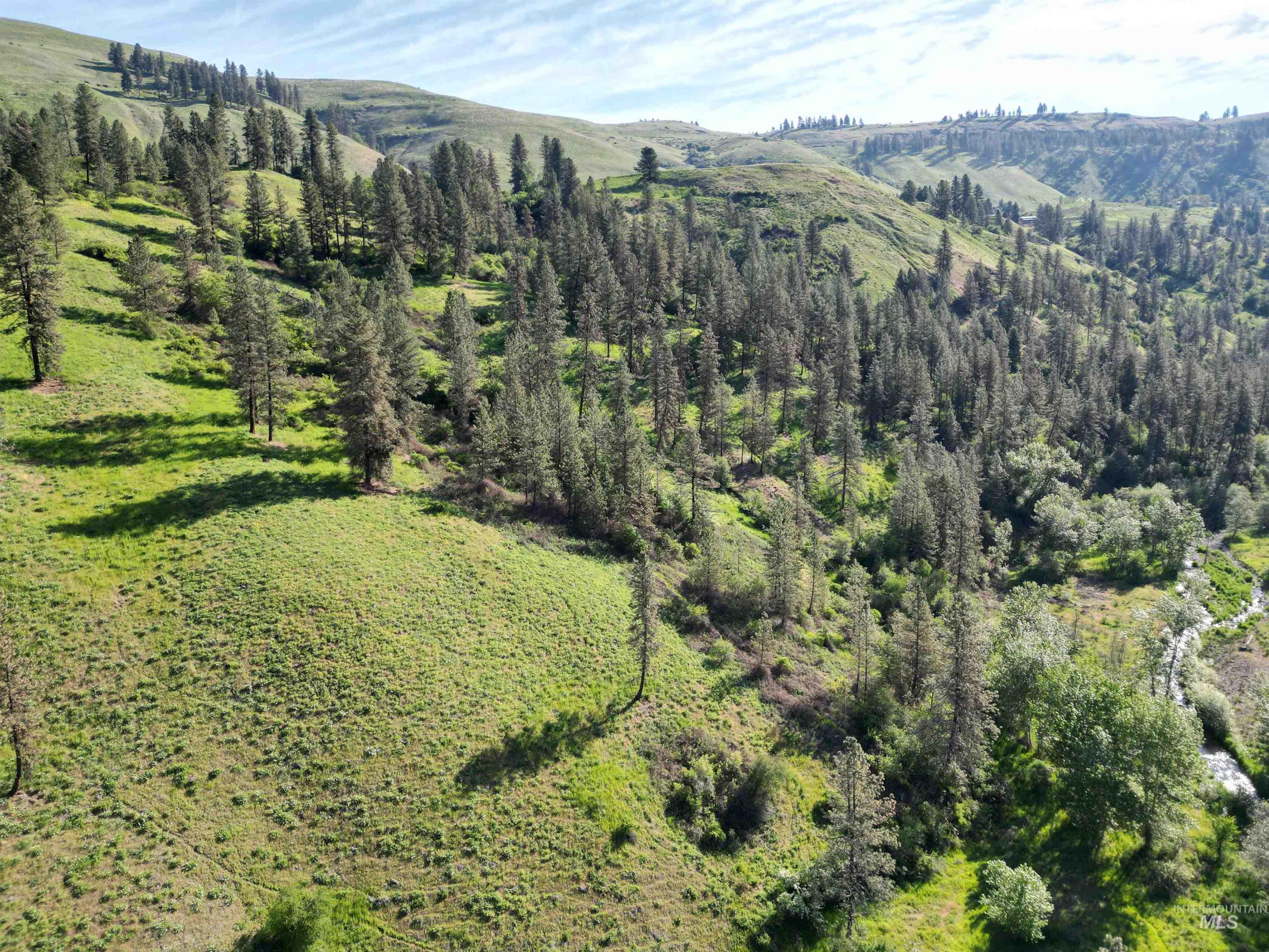 Tbd Twisted Tree Lane Craigmont, ID 83523 - Photo 48 of 49