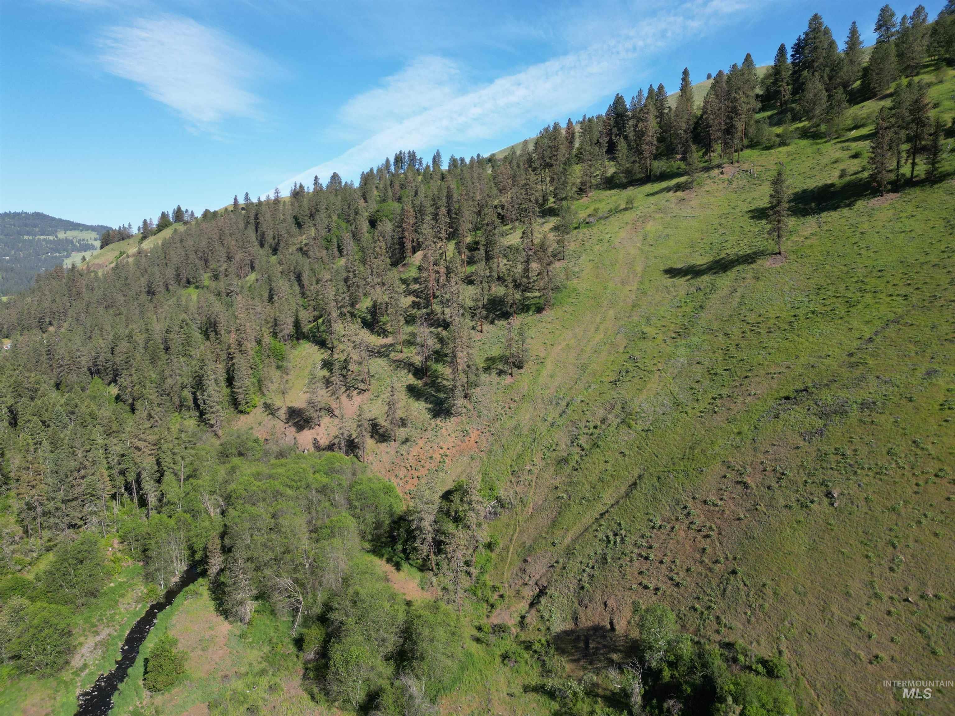 Tbd Twisted Tree Lane Craigmont, ID 83523 - Photo 49 of 49