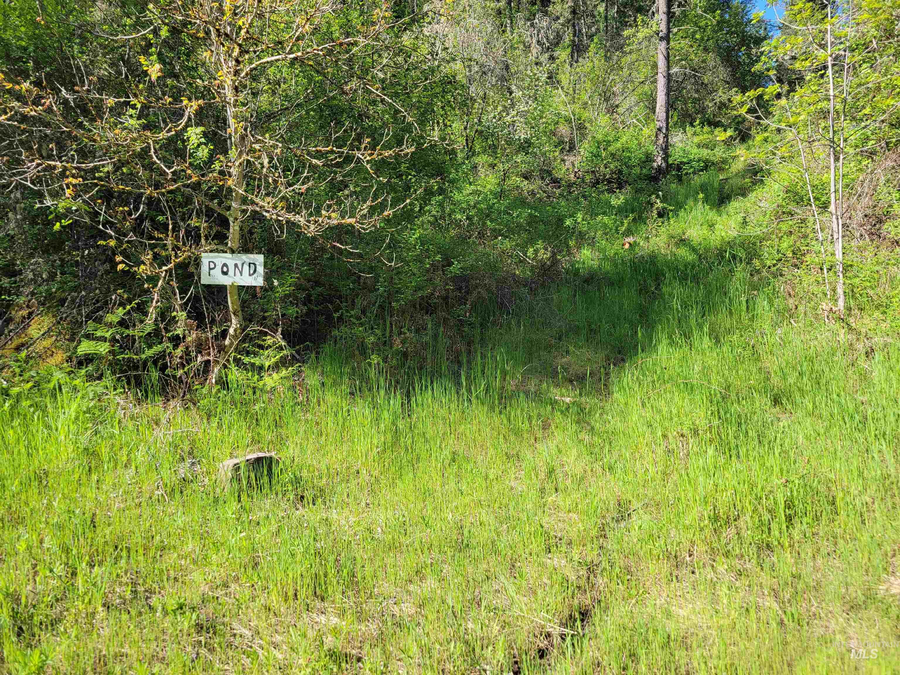 Tbd Twisted Tree Lane Craigmont, ID 83523 - Photo 9 of 49
