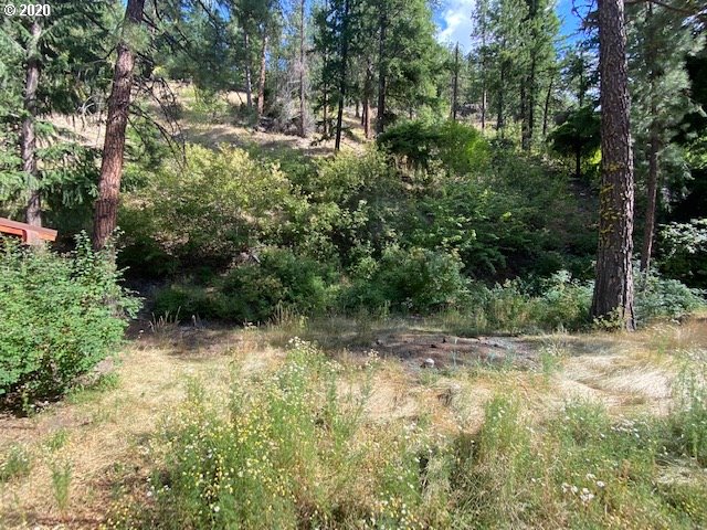 5970 North Fork Road Yakima, WA 98903 - Photo 16 of 19