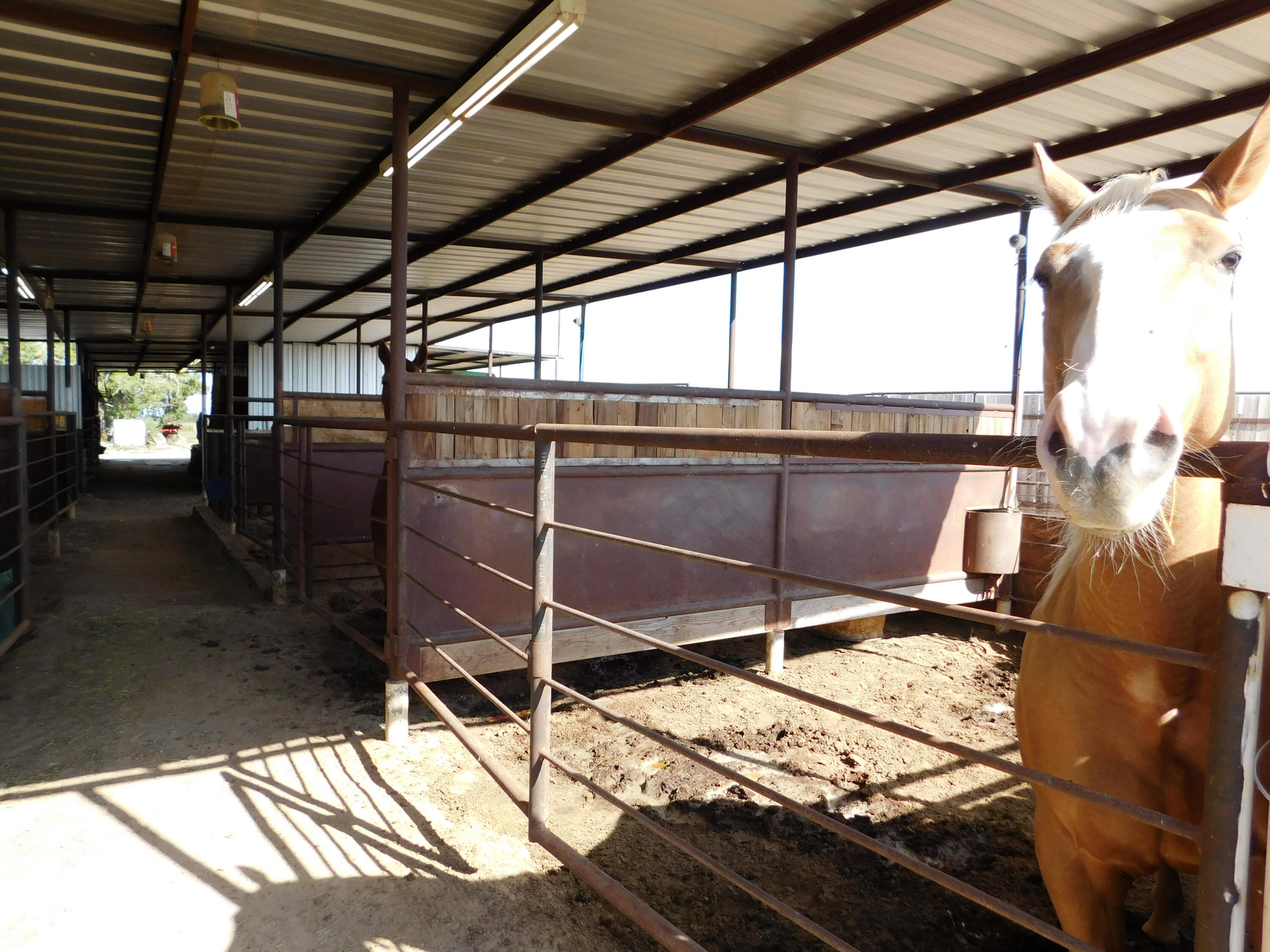 830 Farm To Market 1760 Muleshoe, TX 79347 - Photo 28 of 33 DSCN1790