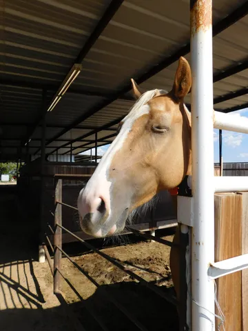 a view of a terrace with a lake view
