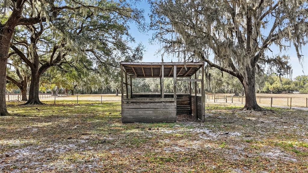 4533 Southwest 37th Terrace Bushnell, FL 33513 - Photo 51 of 58 a view of a backyard with wooden fence and large trees